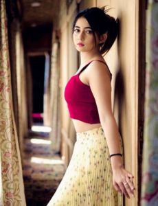 escort service in Malerkotla